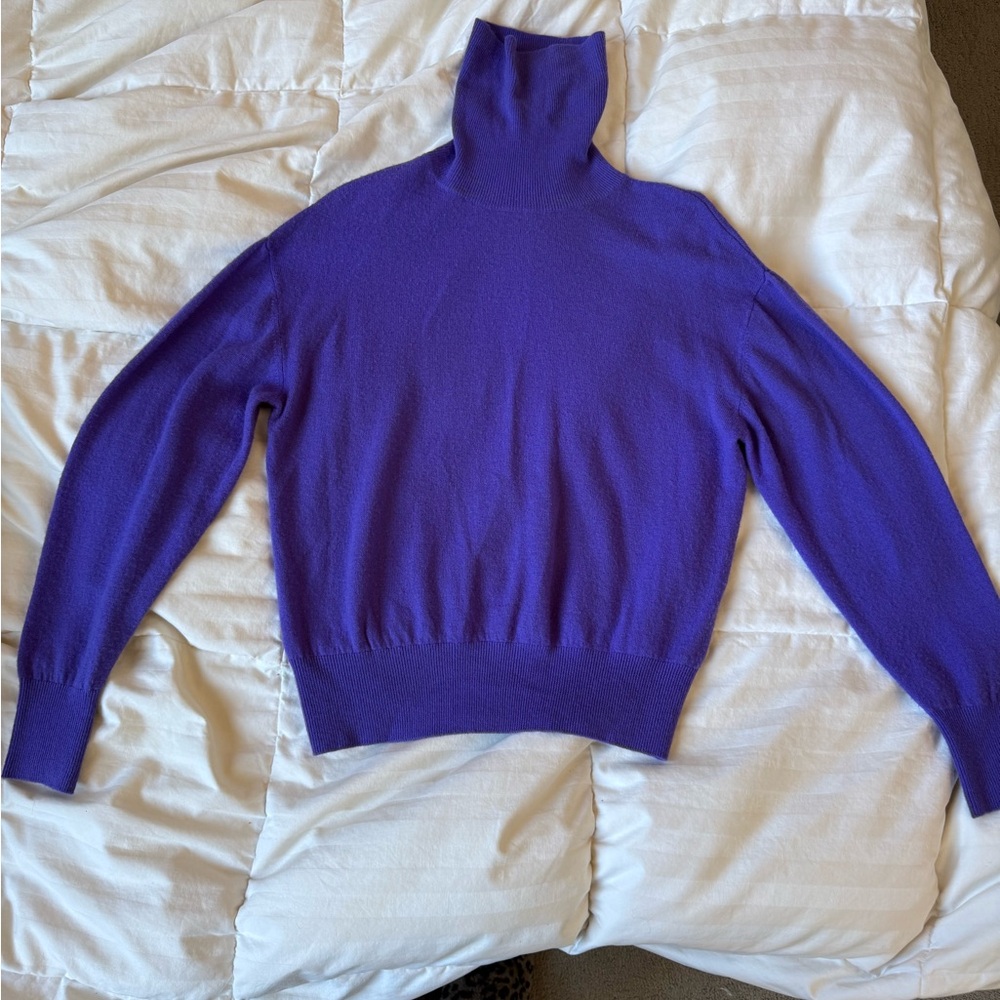 Zara Deep Purple Turtleneck Sweater